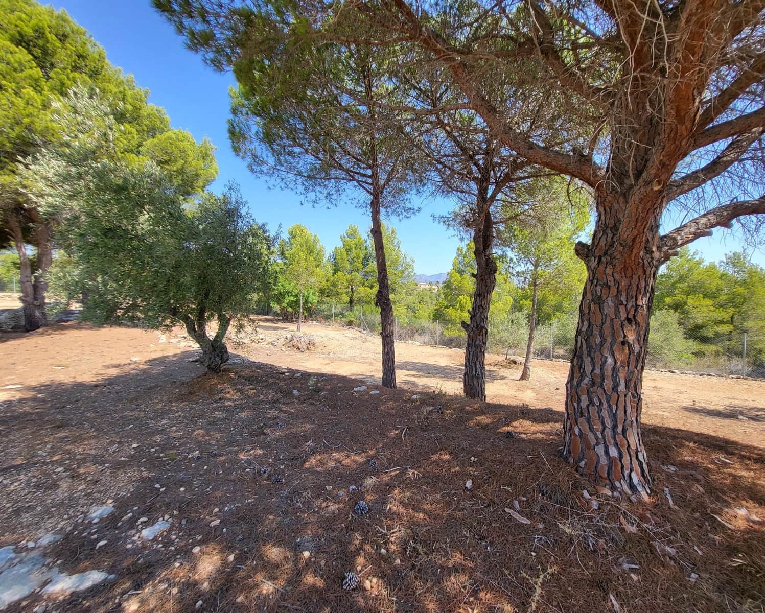 4 soveværelse Finca/Landehus til salg i L'Ametlla de Mar - € 339.000 (Ref: 7749188)