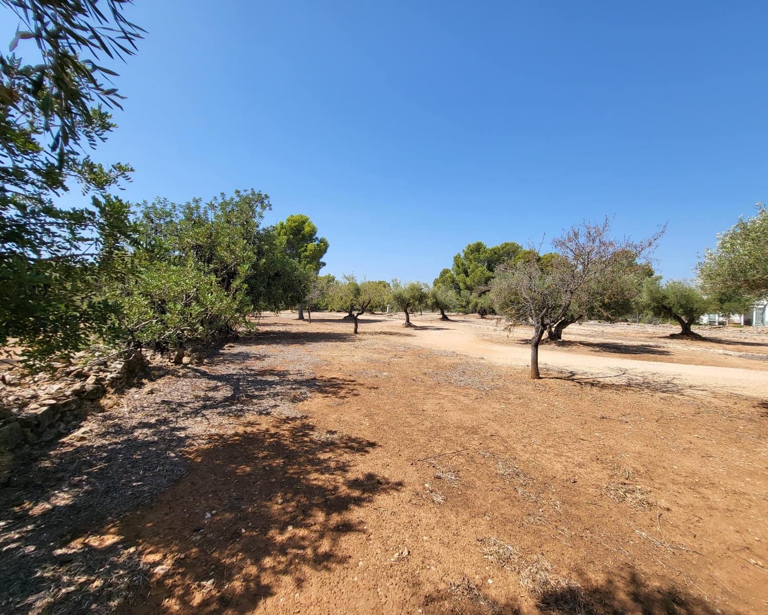 4 soverom Finca/Herregård til salgs i L'Ametlla de Mar - € 339 000 (Ref: 7749188)