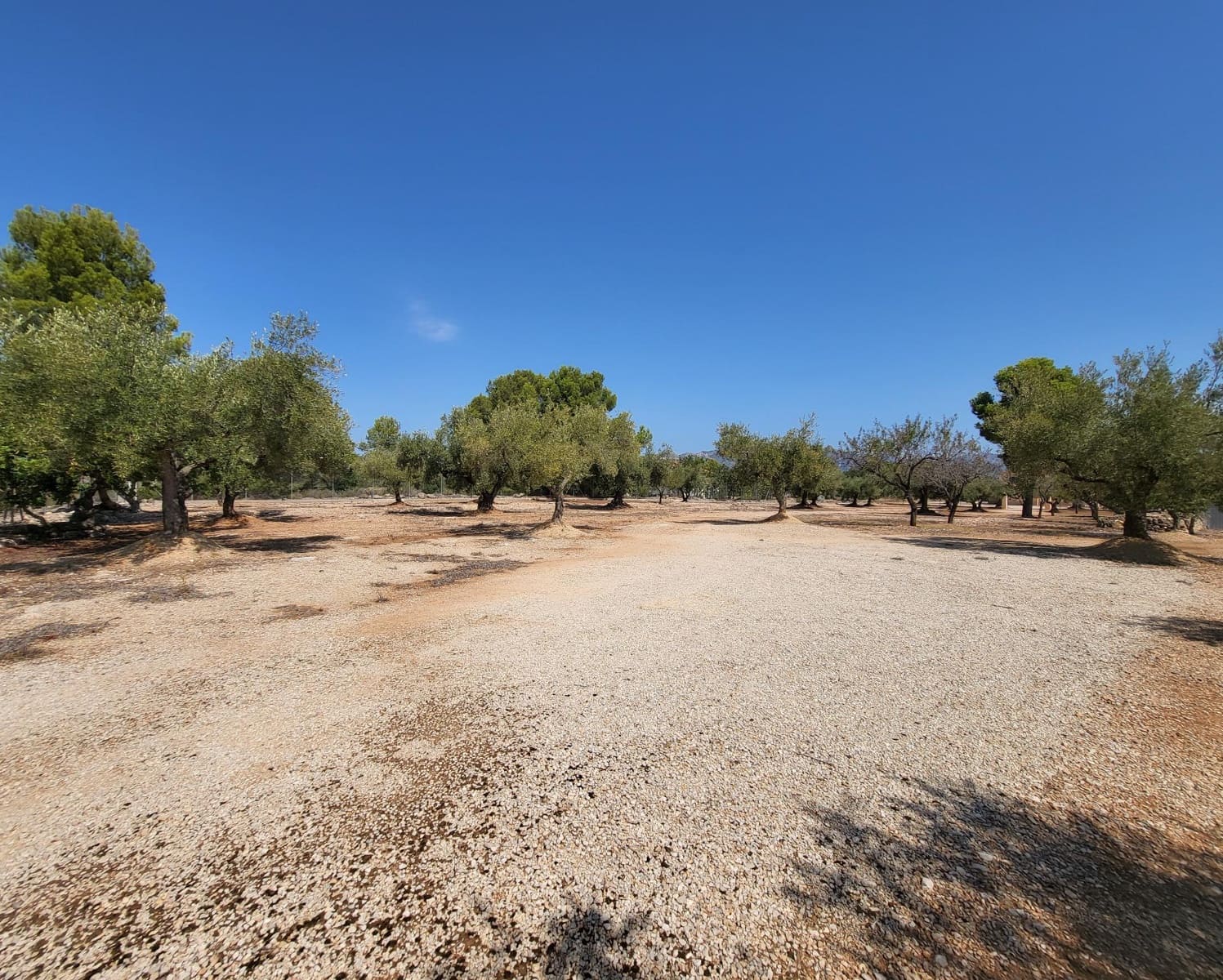 4 soverom Finca/Herregård til salgs i L'Ametlla de Mar - € 339 000 (Ref: 7749188)