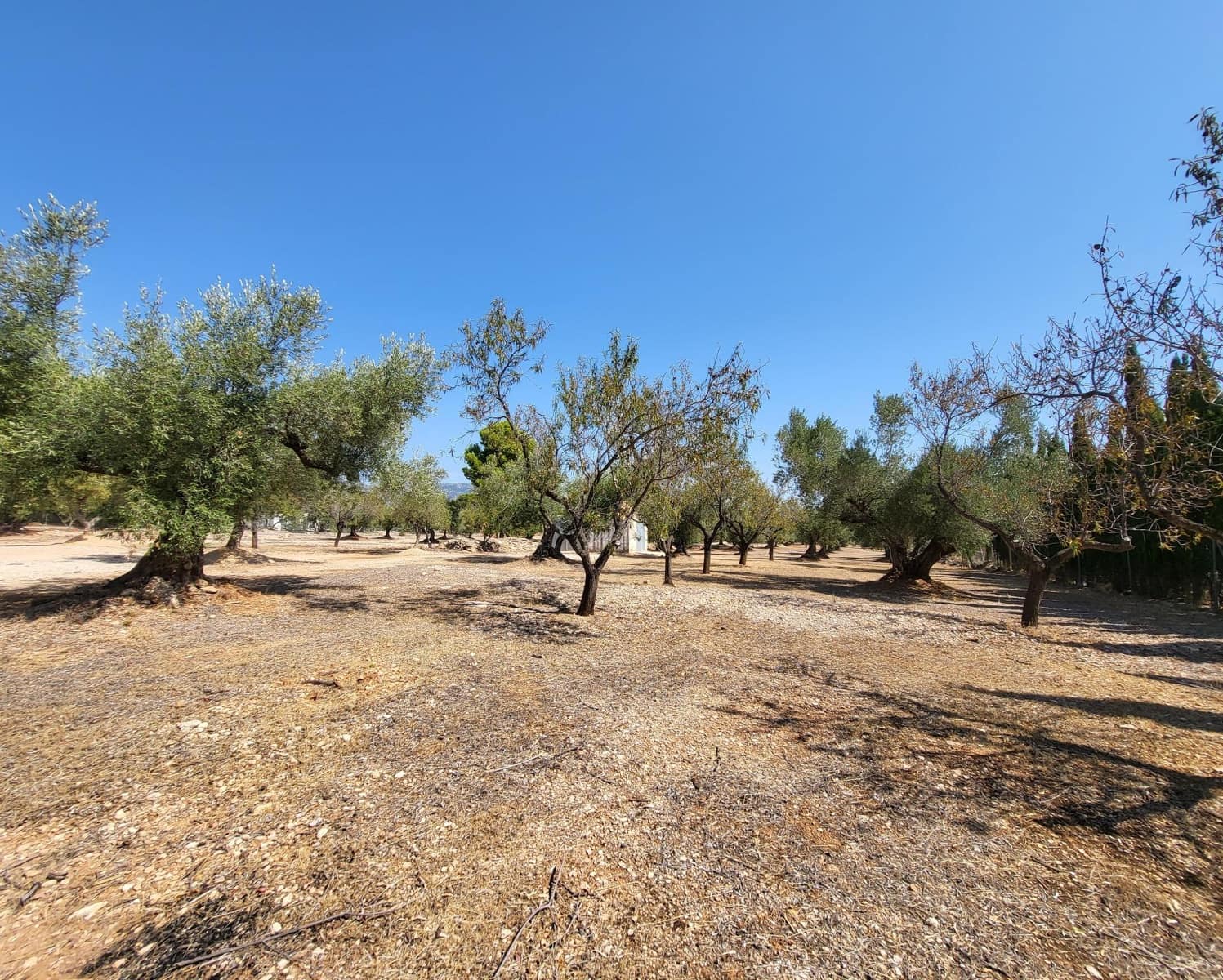 4 soverom Finca/Herregård til salgs i L'Ametlla de Mar - € 339 000 (Ref: 7749188)