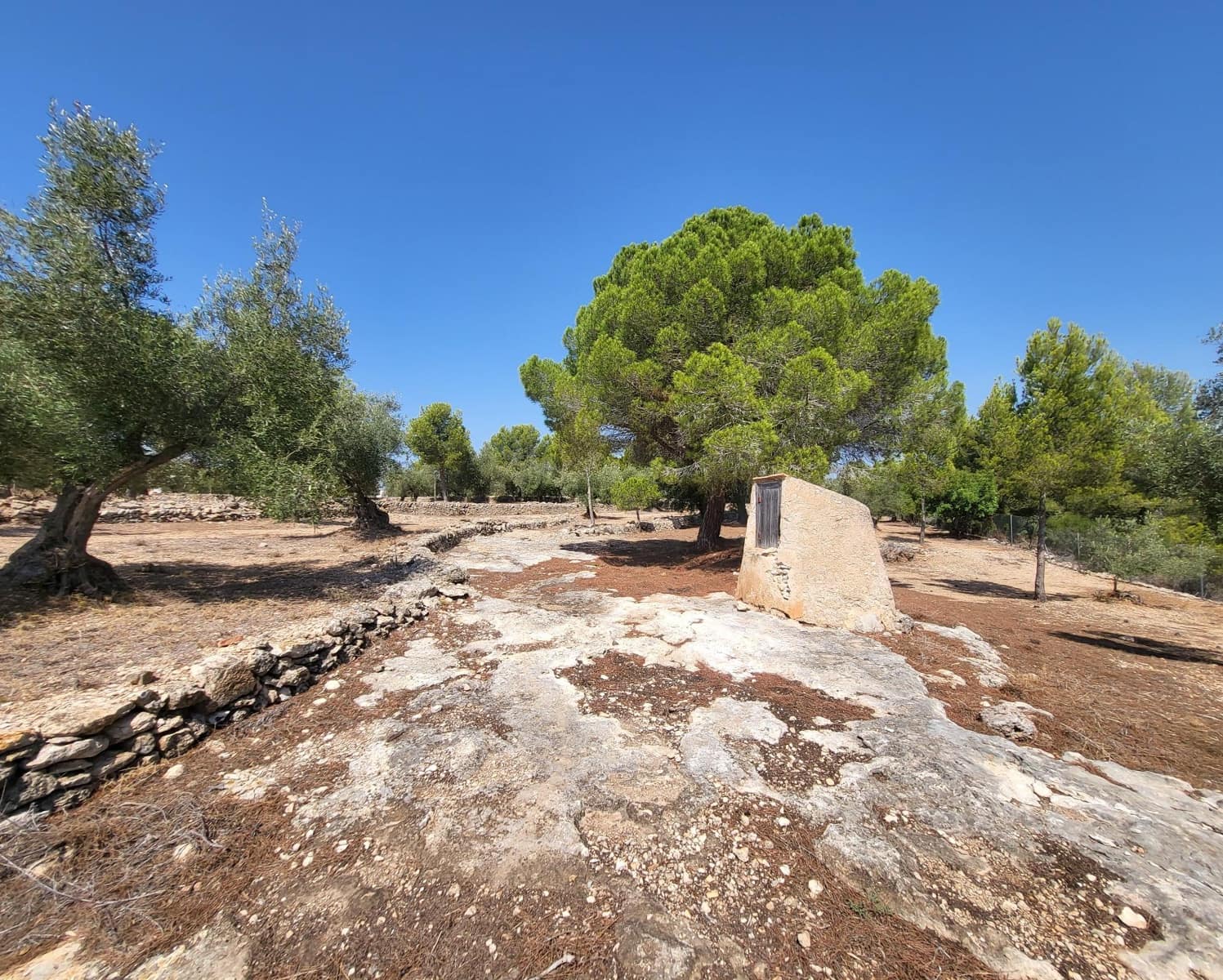 4 soverom Finca/Herregård til salgs i L'Ametlla de Mar - € 339 000 (Ref: 7749188)