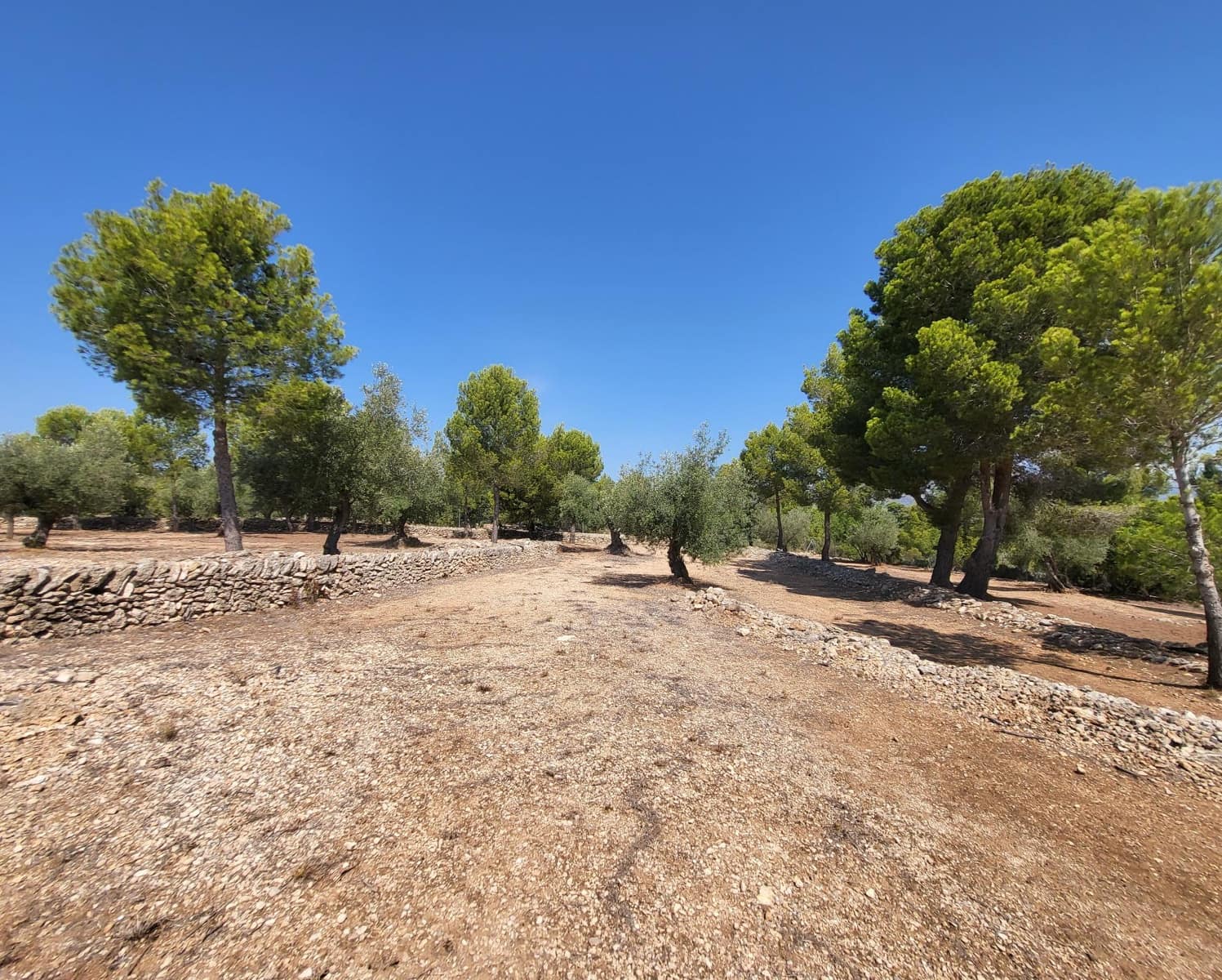 4 soverom Finca/Herregård til salgs i L'Ametlla de Mar - € 339 000 (Ref: 7749188)