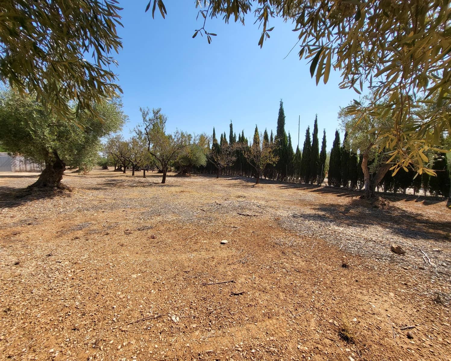 4 soverom Finca/Herregård til salgs i L'Ametlla de Mar - € 339 000 (Ref: 7749188)