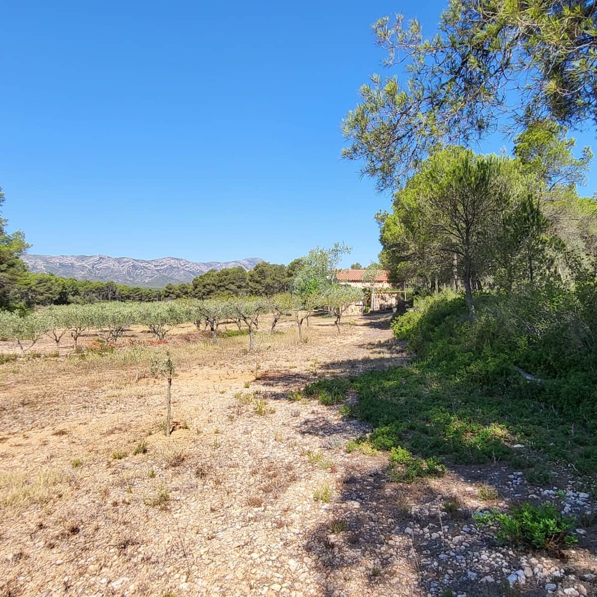 2 bedroom Finca/Country House for sale in El Perello with pool - € 245,000 (Ref: 7758983)