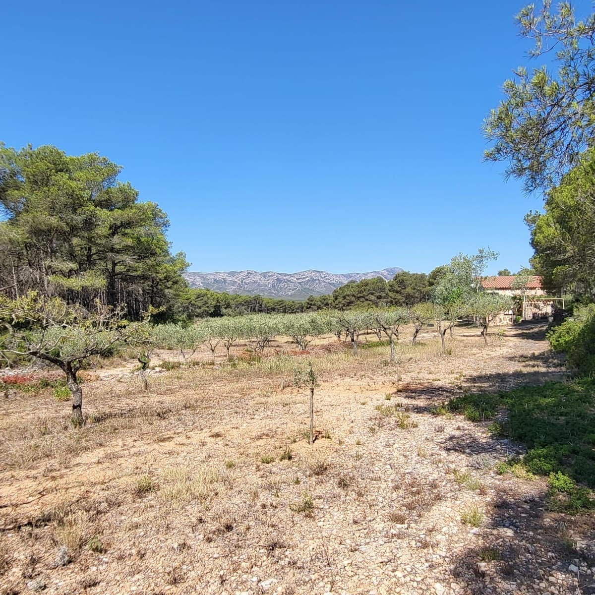 2 bedroom Finca/Country House for sale in El Perello with pool - € 245,000 (Ref: 7758983)
