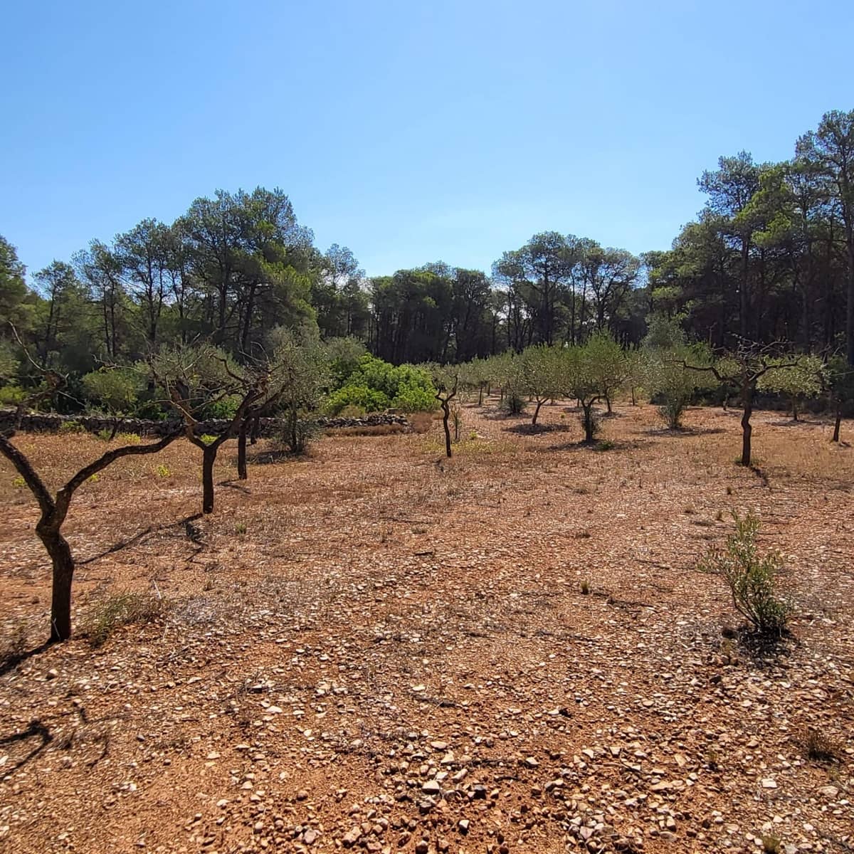 2 bedroom Finca/Country House for sale in El Perello with pool - € 245,000 (Ref: 7758983)