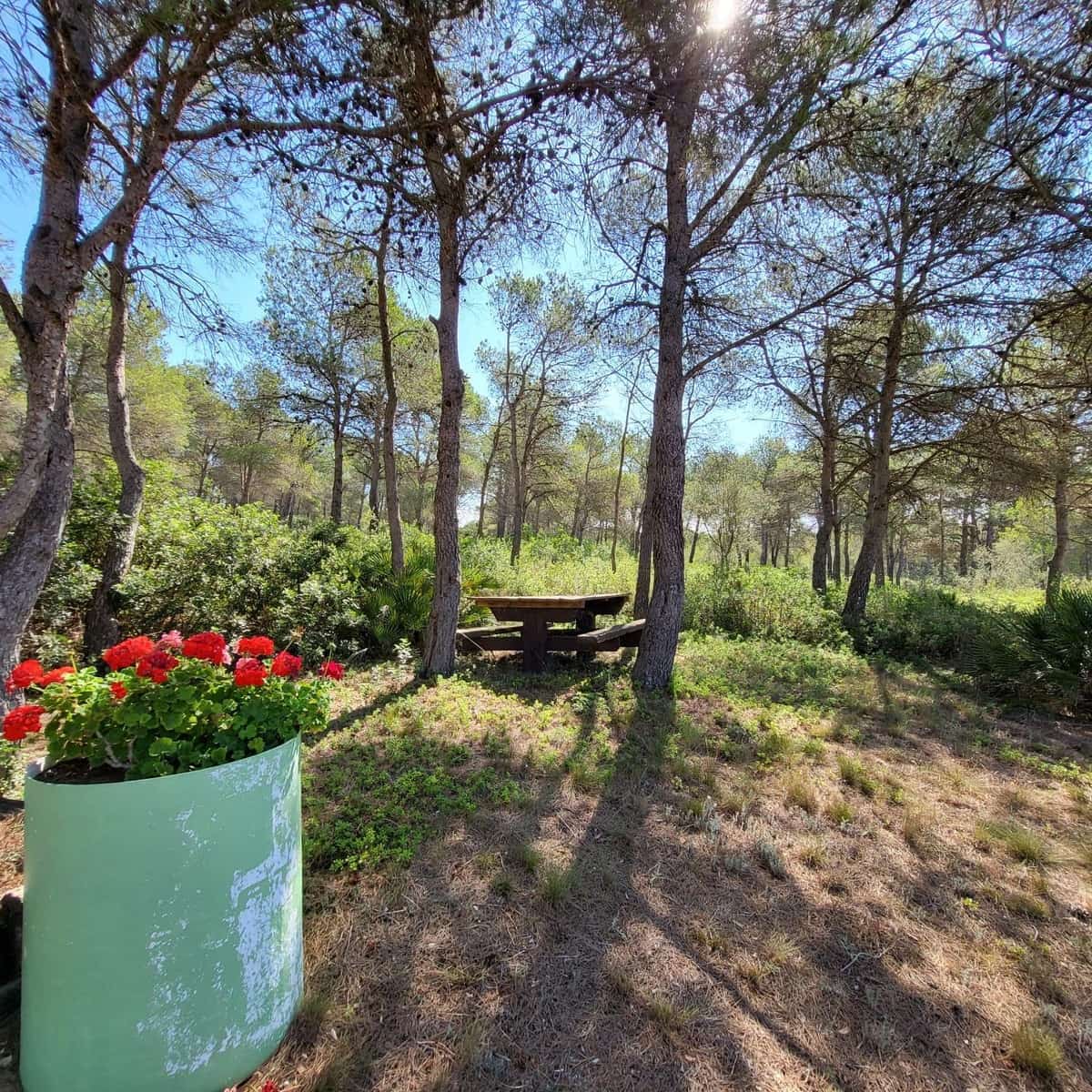 2 bedroom Finca/Country House for sale in El Perello with pool - € 245,000 (Ref: 7758983)