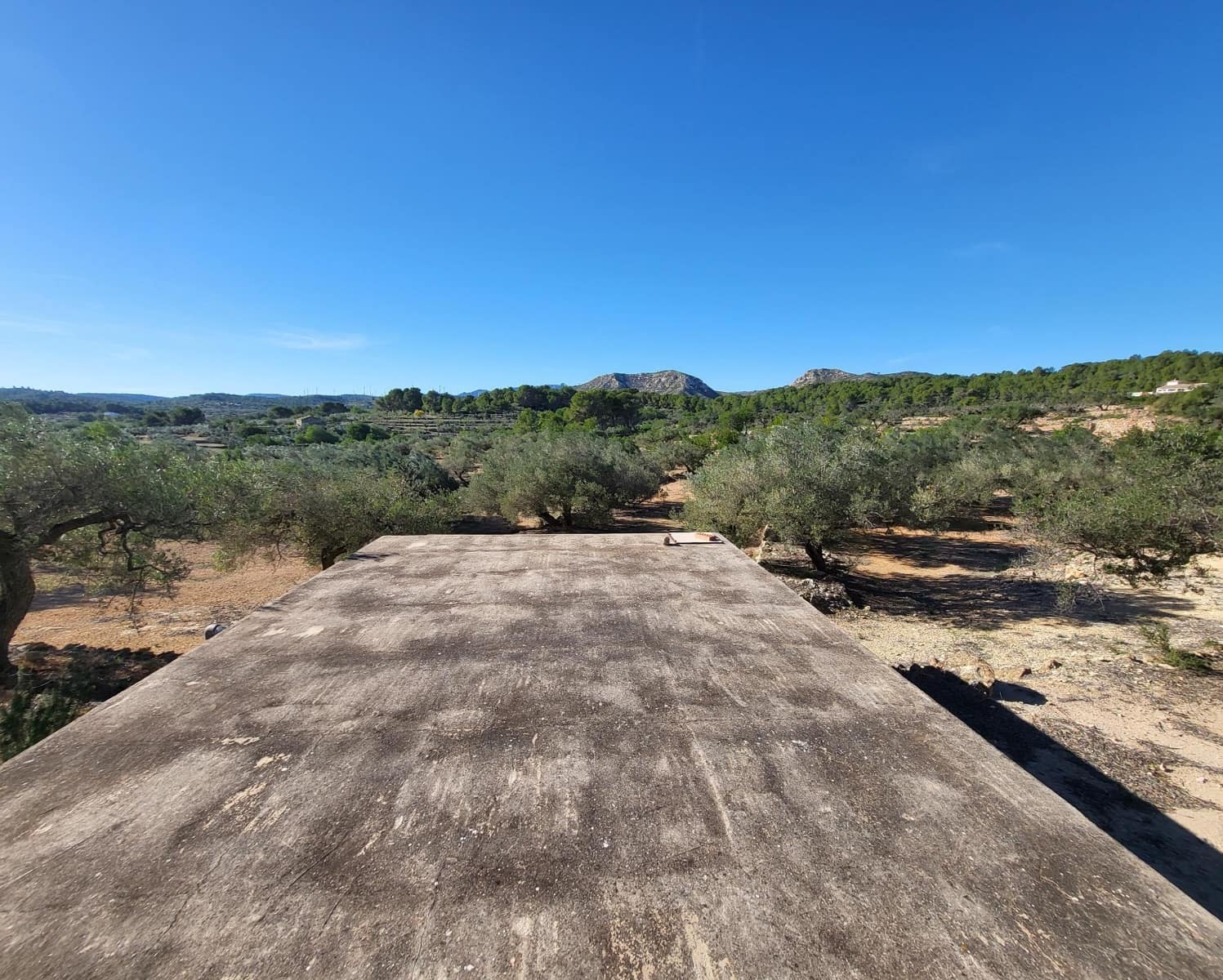 3 soveværelse Finca/Landehus til salg i El Perello med swimmingpool - € 360.000 (Ref: 7959777)