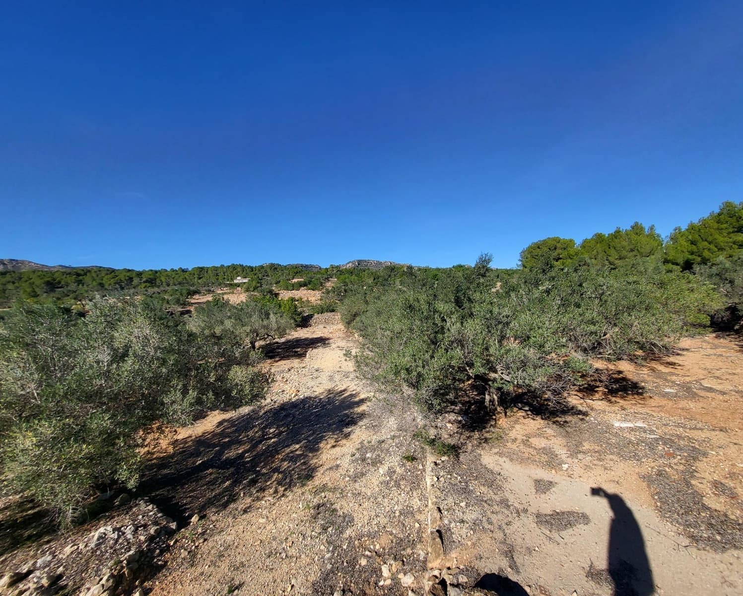 3 soveværelse Finca/Landehus til salg i El Perello med swimmingpool - € 360.000 (Ref: 7959777)