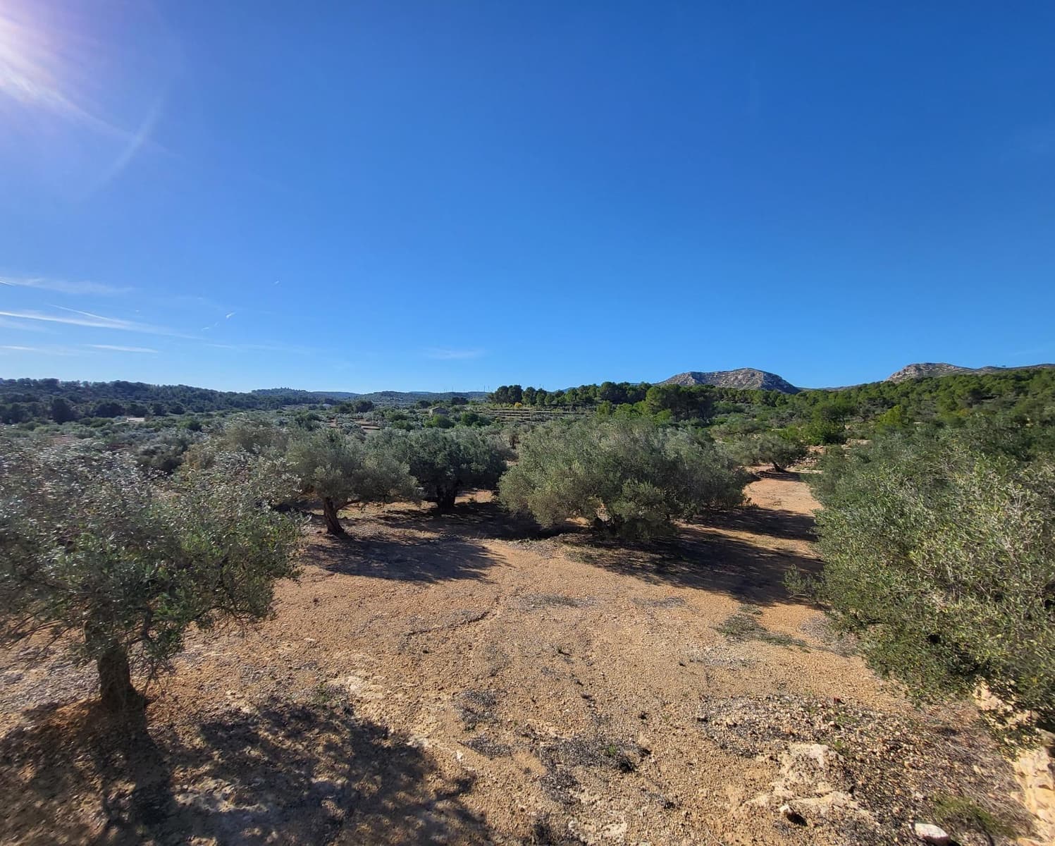 3 soveværelse Finca/Landehus til salg i El Perello med swimmingpool - € 360.000 (Ref: 7959777)