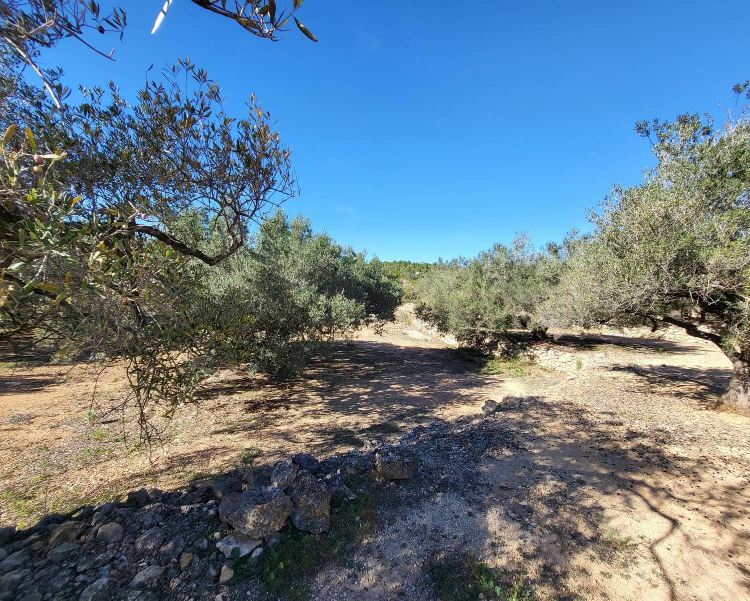 3 soveværelse Finca/Landehus til salg i El Perello med swimmingpool - € 360.000 (Ref: 7959777)