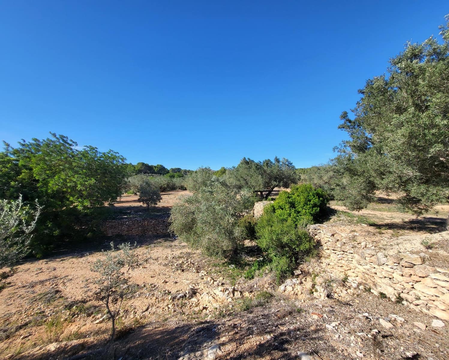 3 soveværelse Finca/Landehus til salg i El Perello med swimmingpool - € 360.000 (Ref: 7959777)