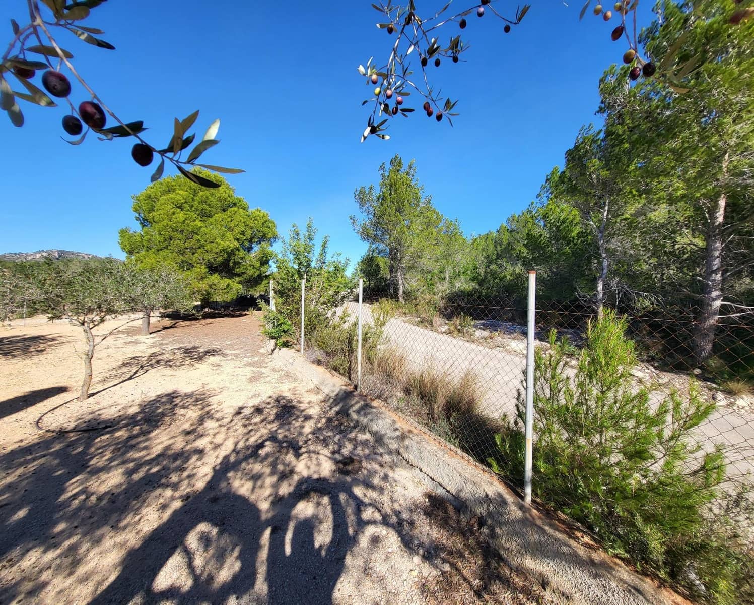 3 soveværelse Finca/Landehus til salg i El Perello med swimmingpool - € 360.000 (Ref: 7959777)