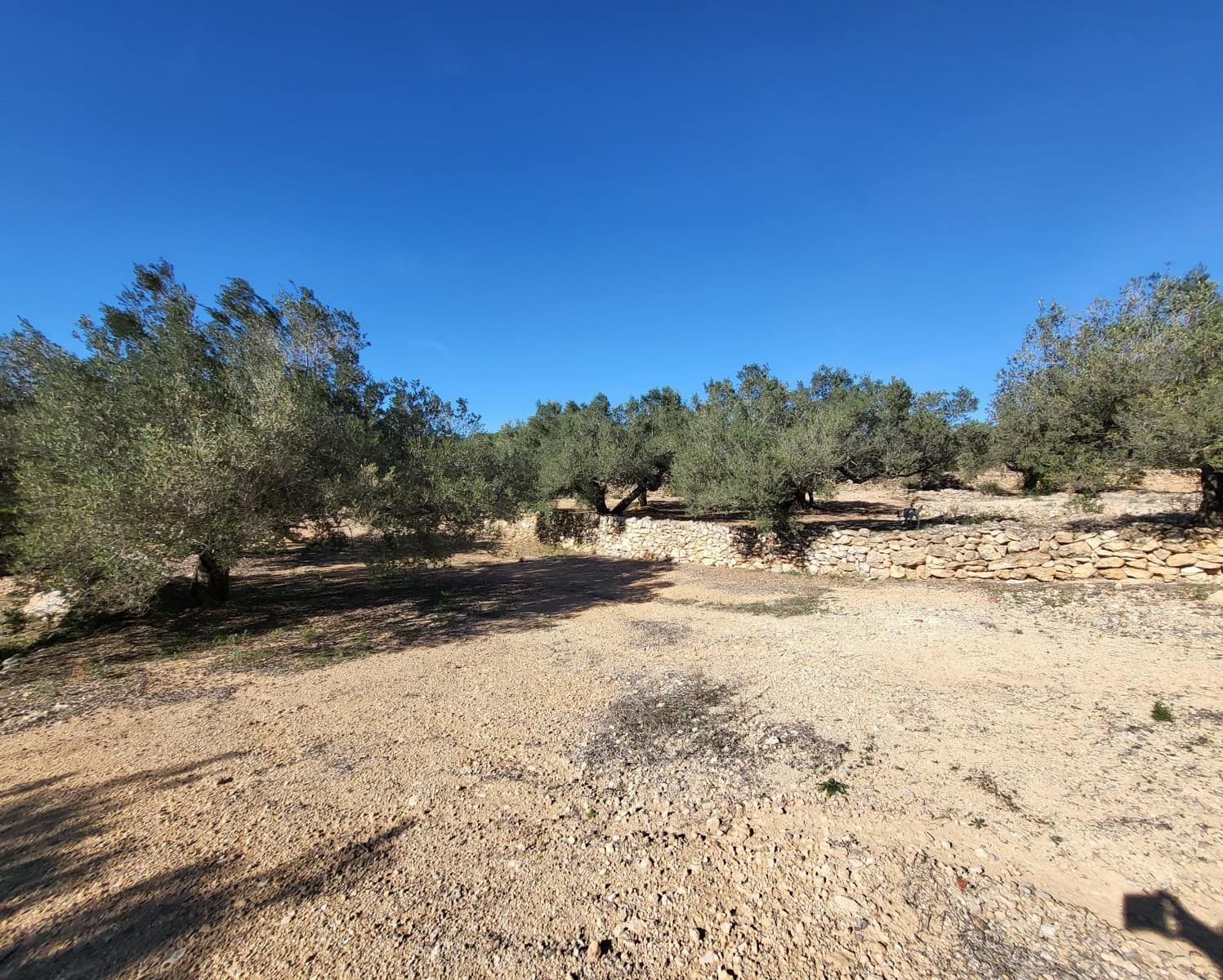 3 soveværelse Finca/Landehus til salg i El Perello med swimmingpool - € 360.000 (Ref: 7959777)