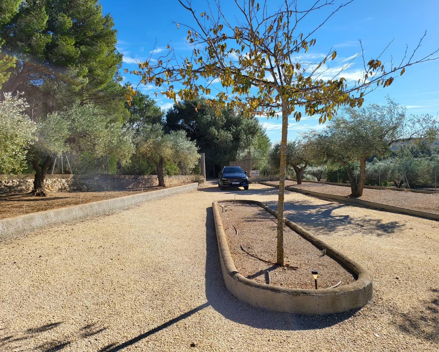 3 soveværelse Finca/Landehus til salg i El Perello med swimmingpool - € 360.000 (Ref: 7959777)