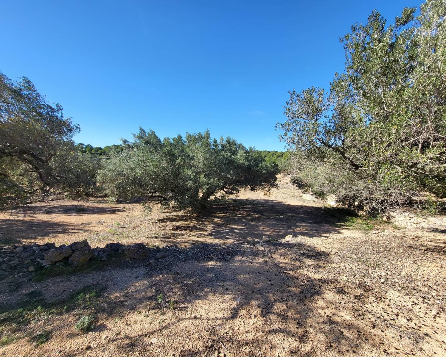 3 soveværelse Finca/Landehus til salg i El Perello med swimmingpool - € 360.000 (Ref: 7959777)