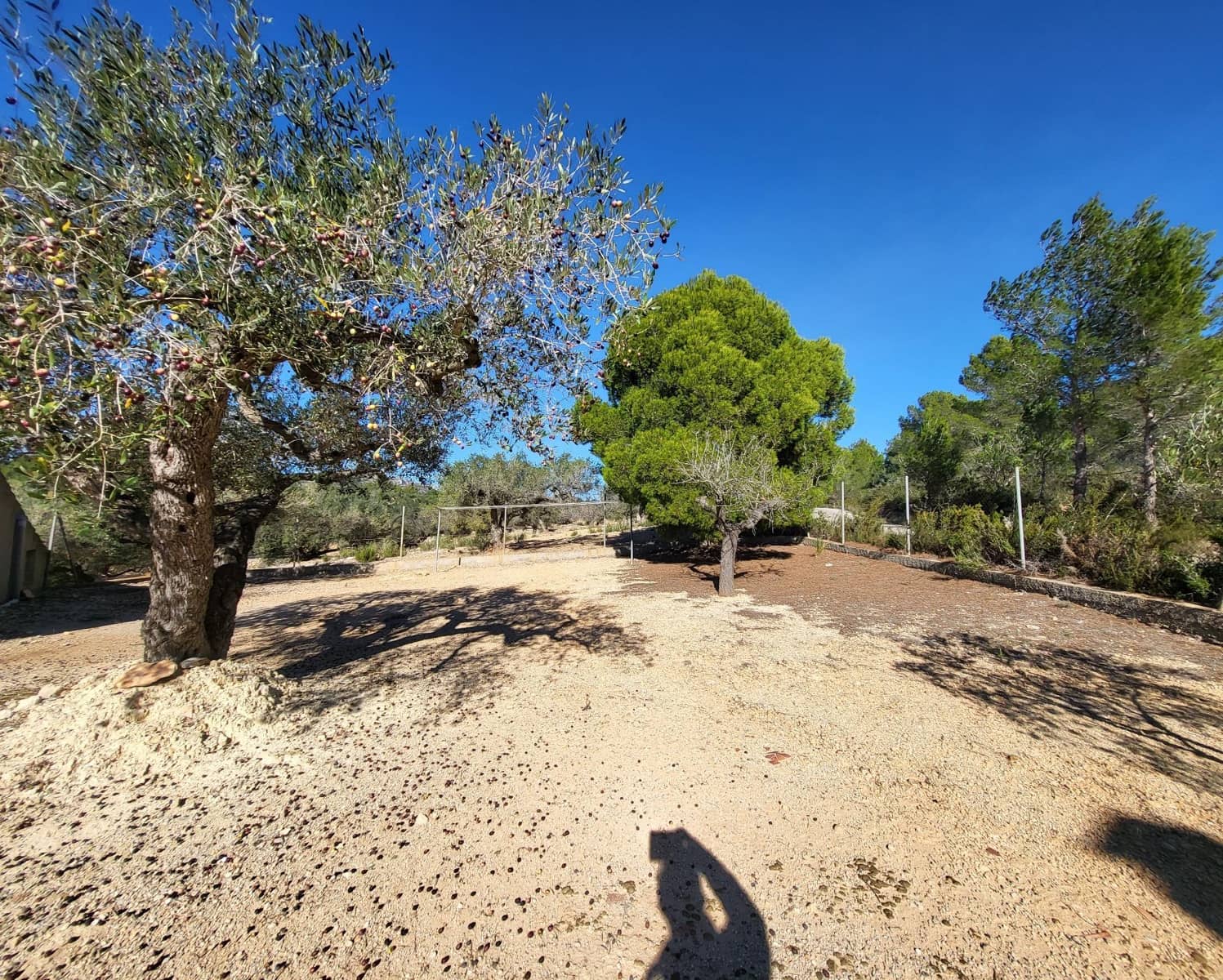 3 soveværelse Finca/Landehus til salg i El Perello med swimmingpool - € 360.000 (Ref: 7959777)