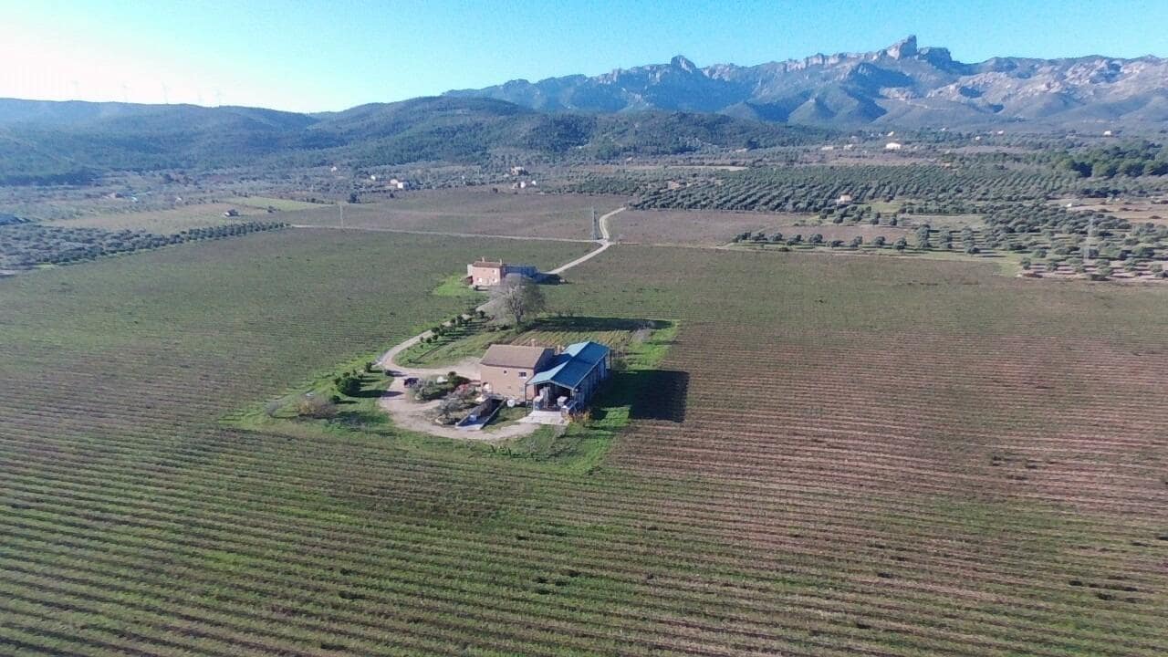10 soveværelse Finca/Landehus til salg i El Perello - € 1.800.000 (Ref: 7995647)