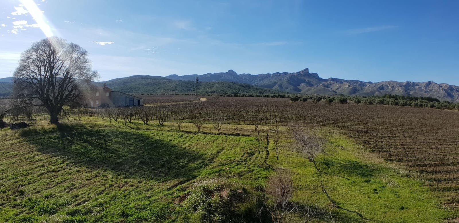 10 soveværelse Finca/Landehus til salg i El Perello - € 1.800.000 (Ref: 7995647)