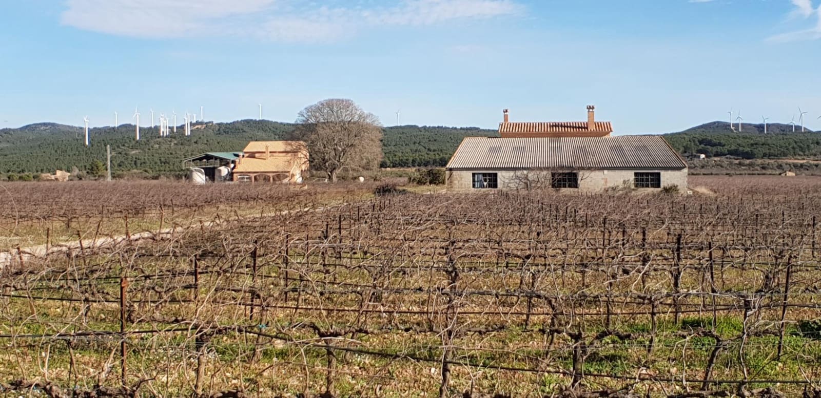 10 soveværelse Finca/Landehus til salg i El Perello - € 1.800.000 (Ref: 7995647)