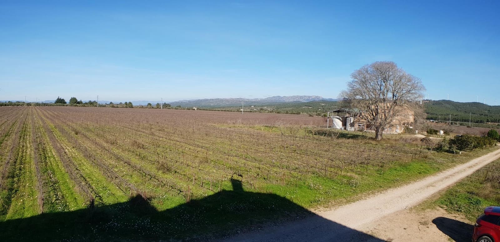 10 soveværelse Finca/Landehus til salg i El Perello - € 1.800.000 (Ref: 7995647)