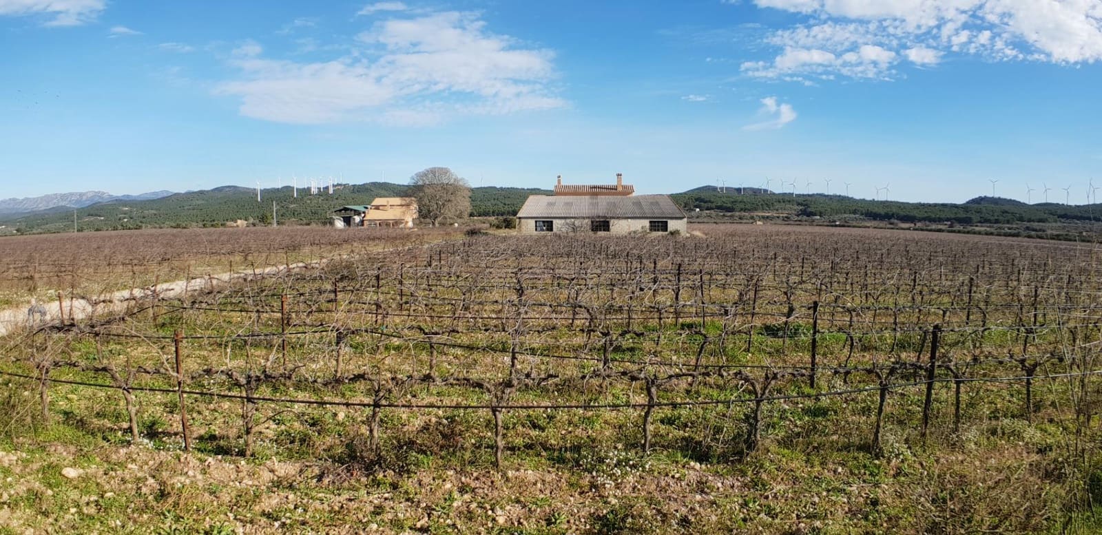 10 soveværelse Finca/Landehus til salg i El Perello - € 1.800.000 (Ref: 7995647)