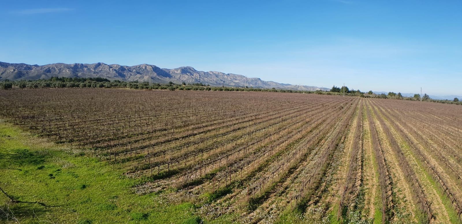 10 soveværelse Finca/Landehus til salg i El Perello - € 1.800.000 (Ref: 7995647)