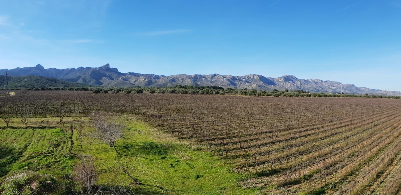 10 soveværelse Finca/Landehus til salg i El Perello - € 1.800.000 (Ref: 7995647)