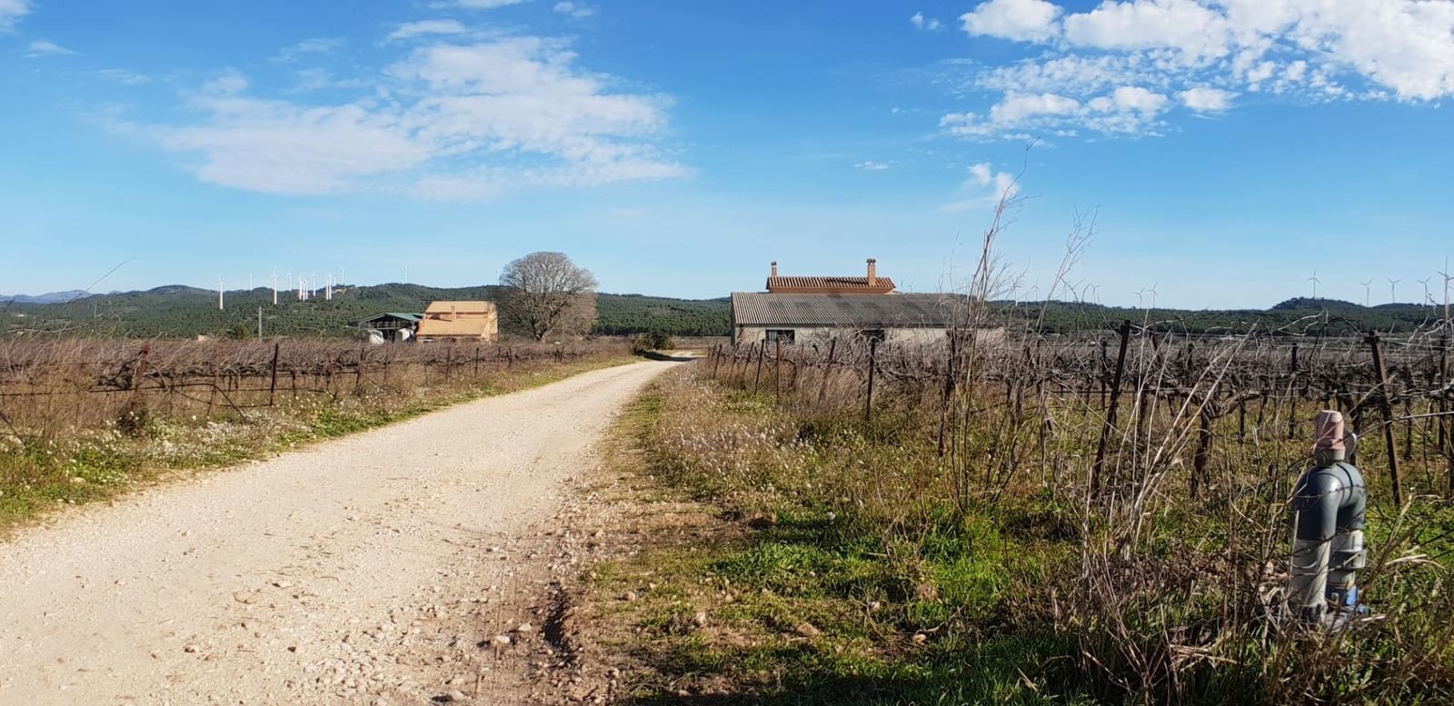 10 soveværelse Finca/Landehus til salg i El Perello - € 1.800.000 (Ref: 7995647)