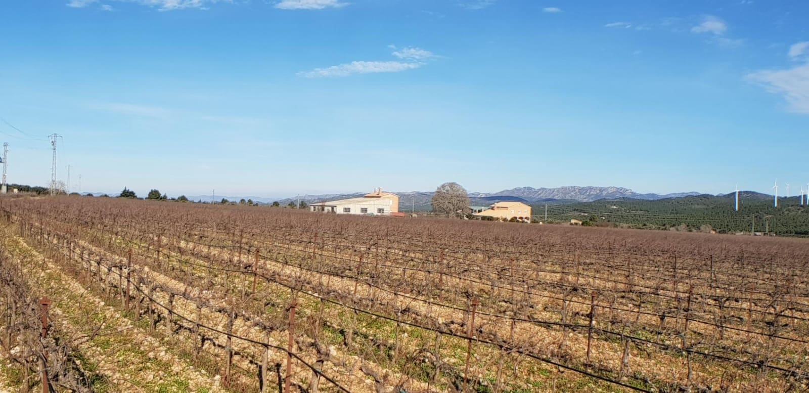 10 soveværelse Finca/Landehus til salg i El Perello - € 1.800.000 (Ref: 7995647)