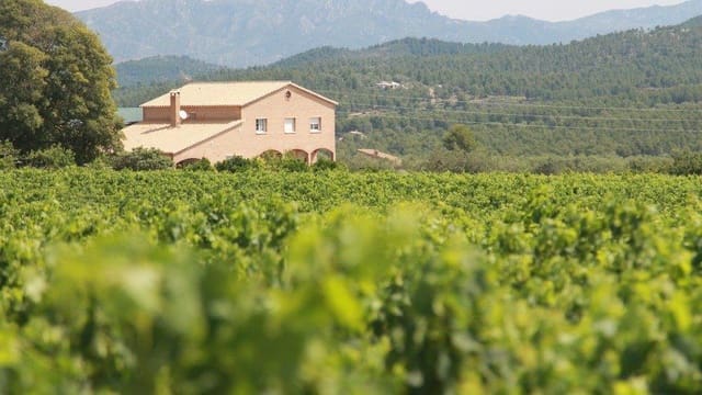 10 bedroom Finca/Country House for sale in El Perelló - € 1,800,000 (Ref: 7995647)