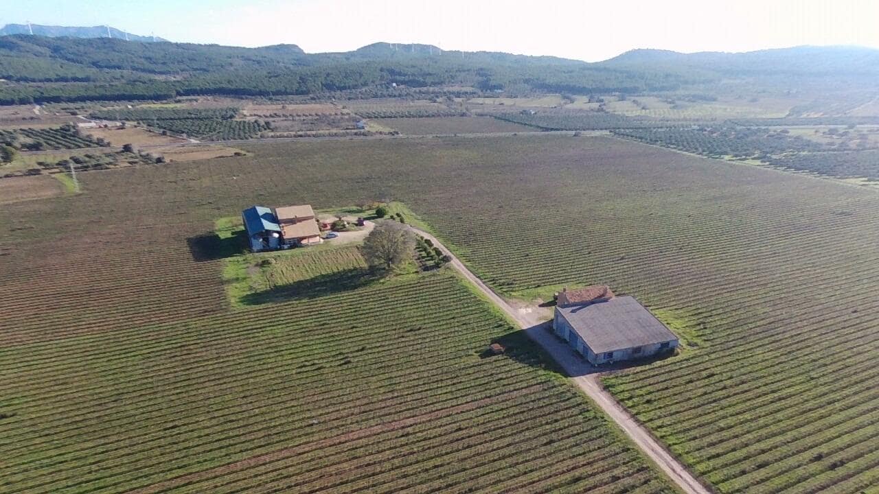 10 soveværelse Finca/Landehus til salg i El Perello - € 1.800.000 (Ref: 7995647)