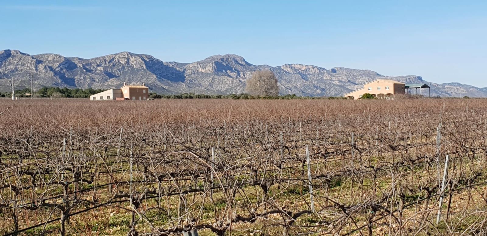 10 soveværelse Finca/Landehus til salg i El Perello - € 1.800.000 (Ref: 7995647)