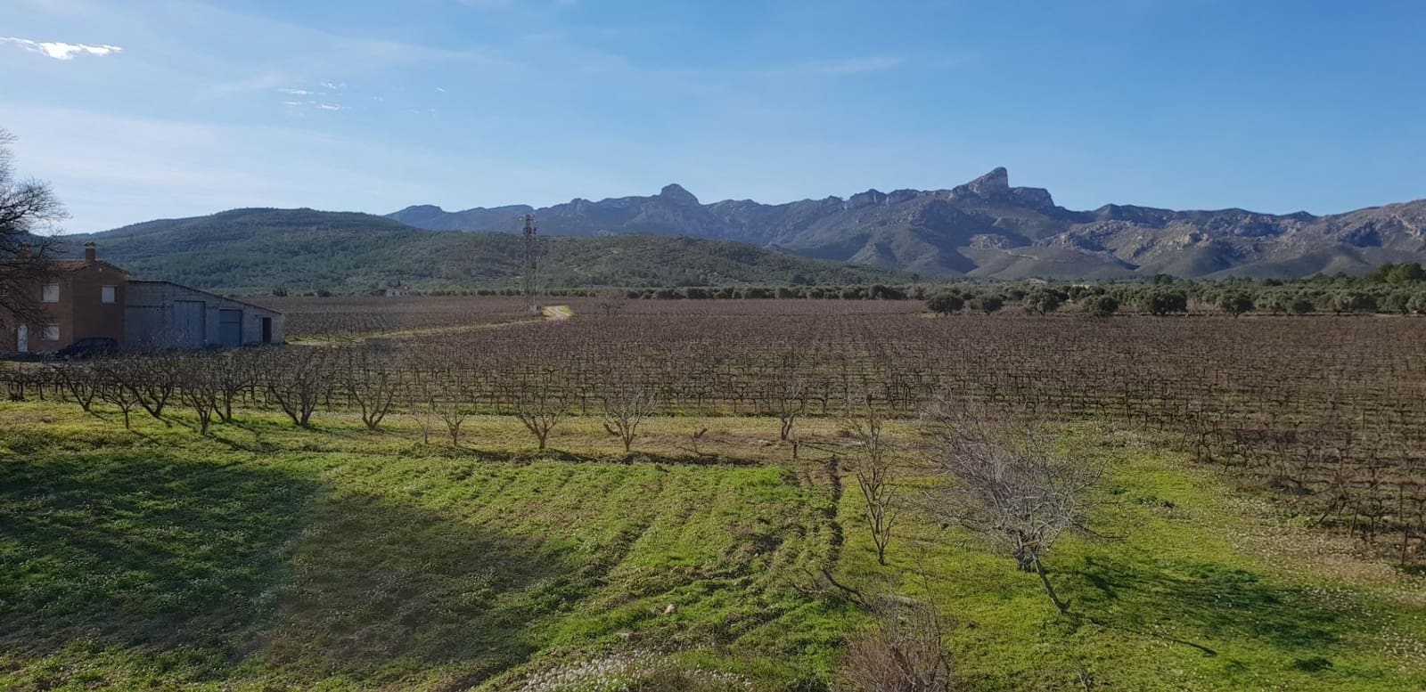 10 soveværelse Finca/Landehus til salg i El Perello - € 1.800.000 (Ref: 7995647)