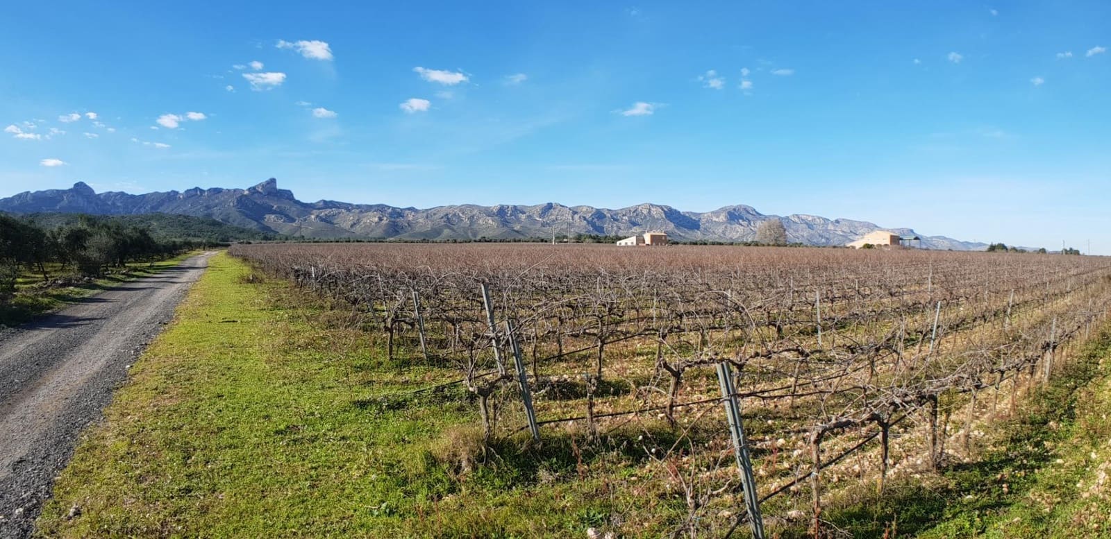 10 soveværelse Finca/Landehus til salg i El Perello - € 1.800.000 (Ref: 7995647)