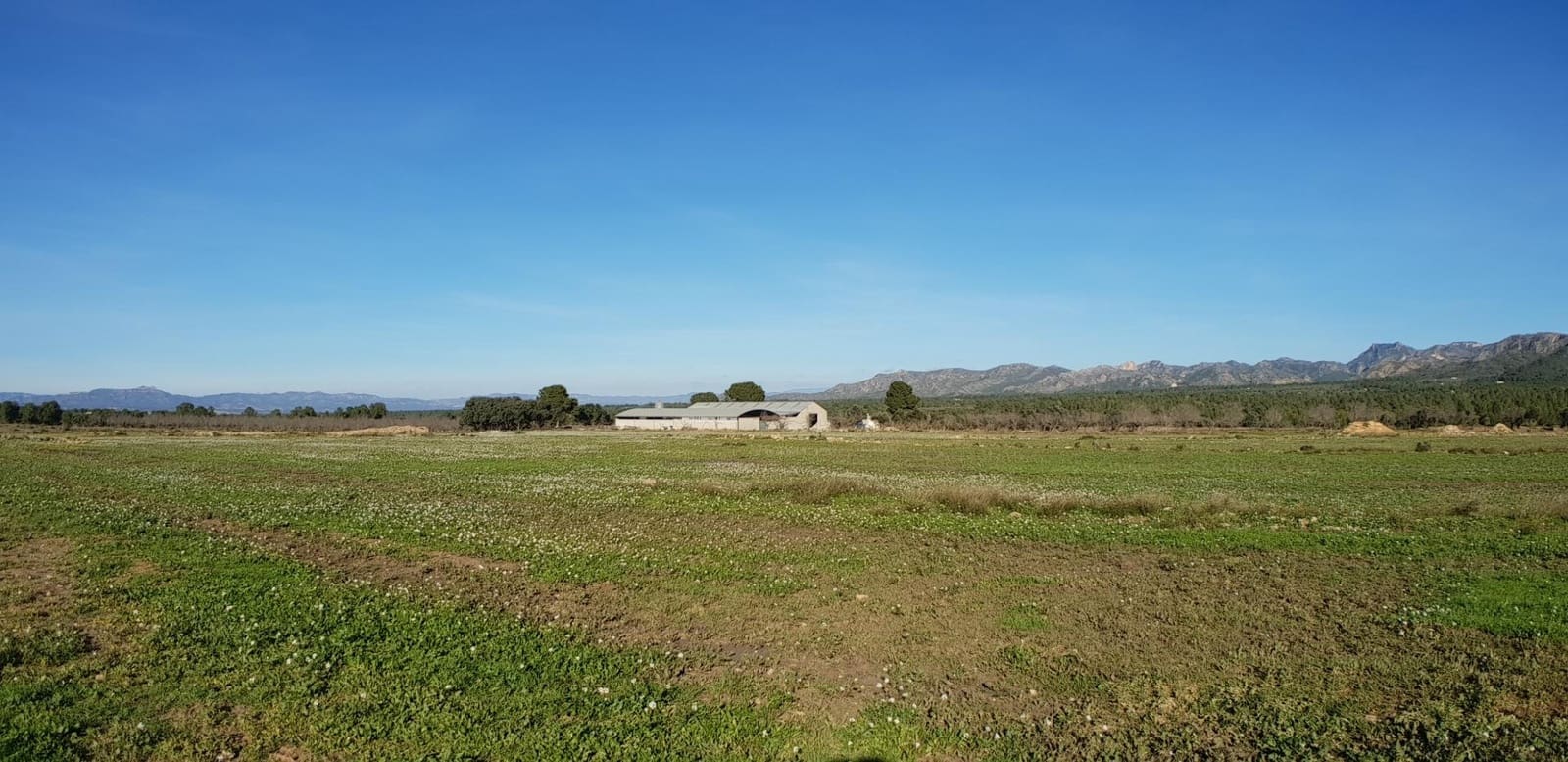 10 soveværelse Finca/Landehus til salg i El Perello - € 1.800.000 (Ref: 7995647)