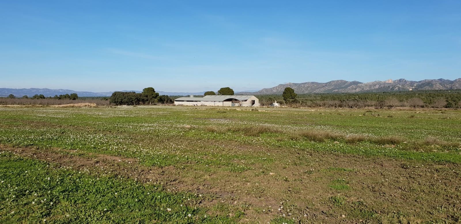 10 soveværelse Finca/Landehus til salg i El Perello - € 1.800.000 (Ref: 7995647)