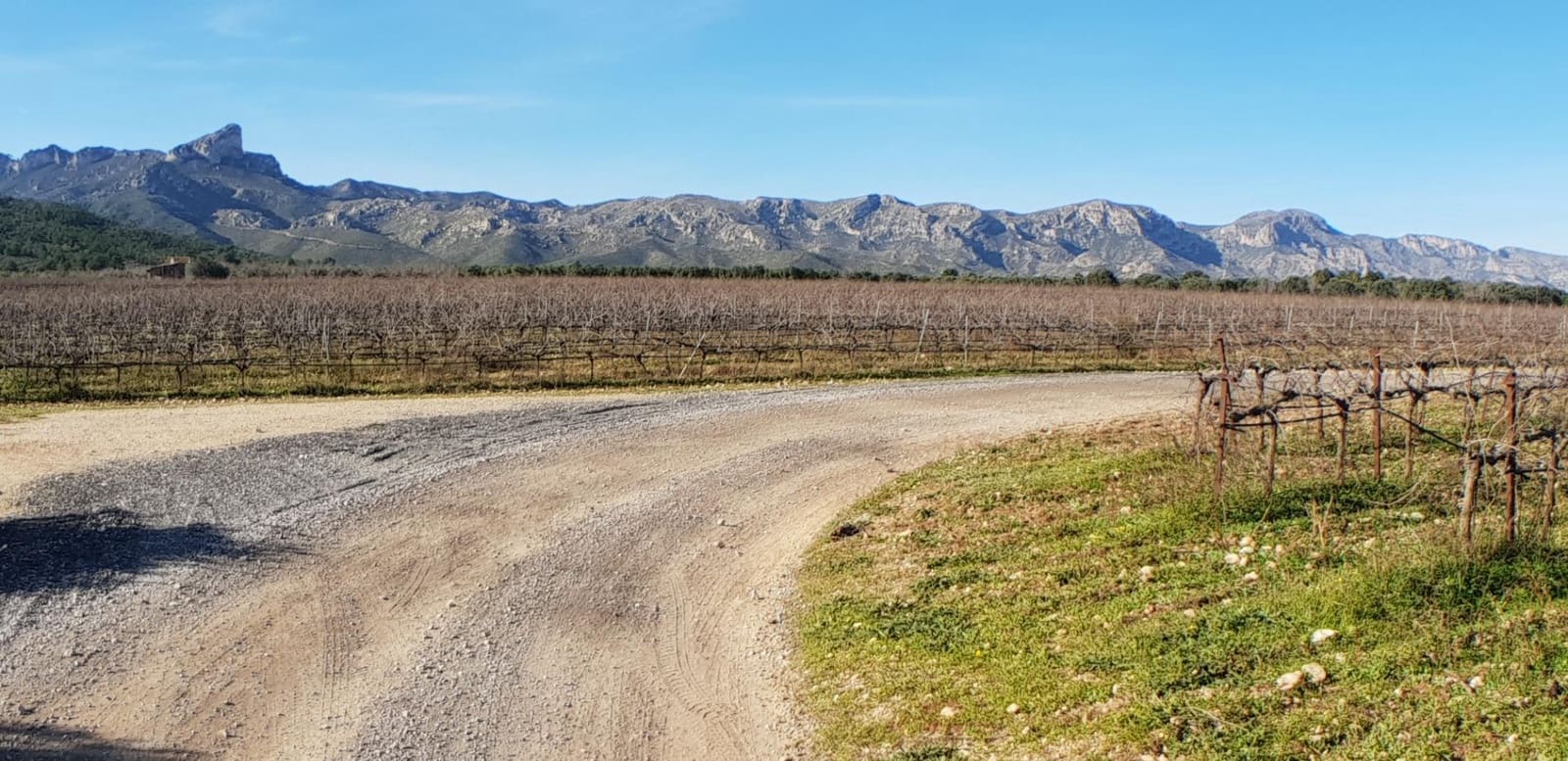 10 soveværelse Finca/Landehus til salg i El Perello - € 1.800.000 (Ref: 7995647)