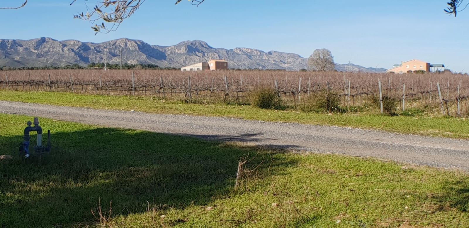 10 soveværelse Finca/Landehus til salg i El Perello - € 1.800.000 (Ref: 7995647)