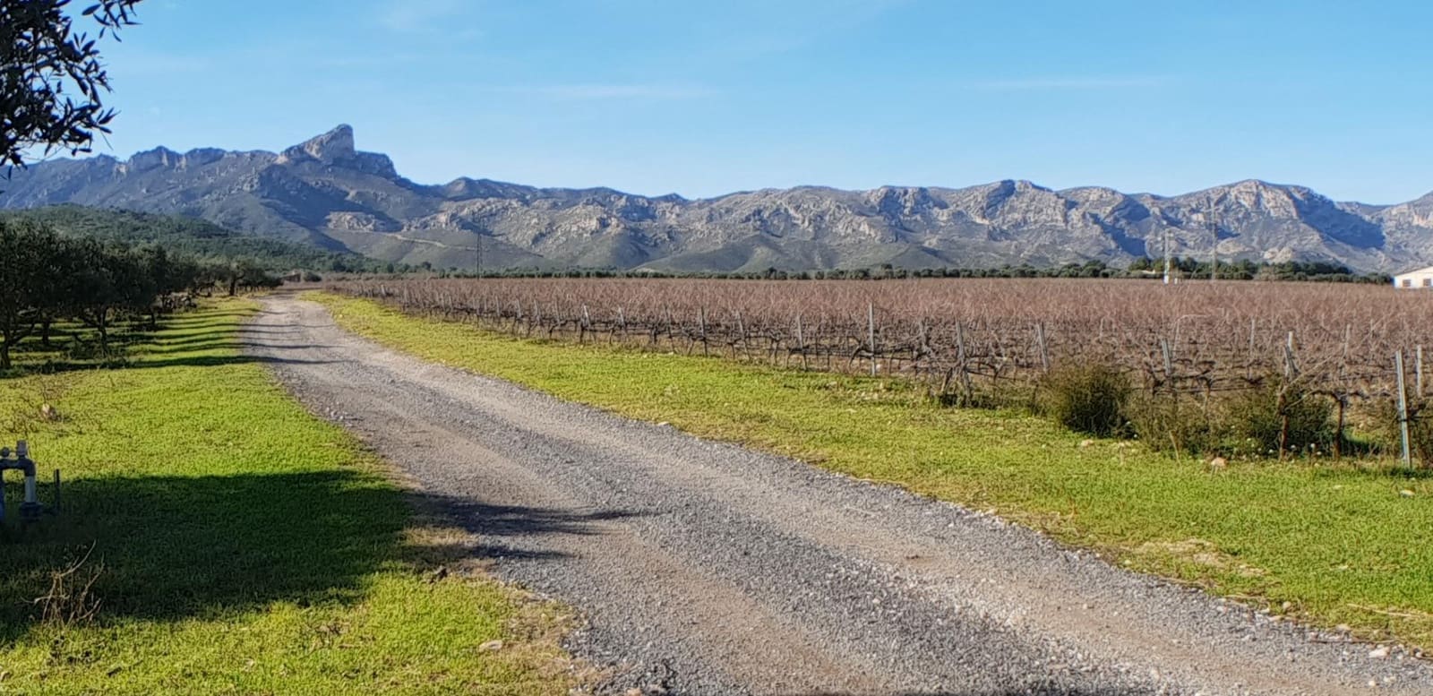 10 soveværelse Finca/Landehus til salg i El Perello - € 1.800.000 (Ref: 7995647)