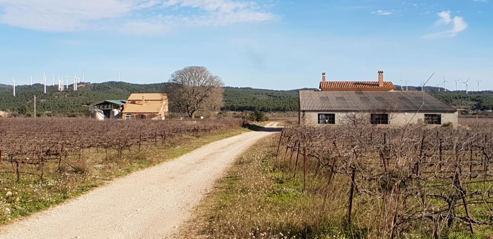 10 soveværelse Finca/Landehus til salg i El Perello - € 1.800.000 (Ref: 7995647)