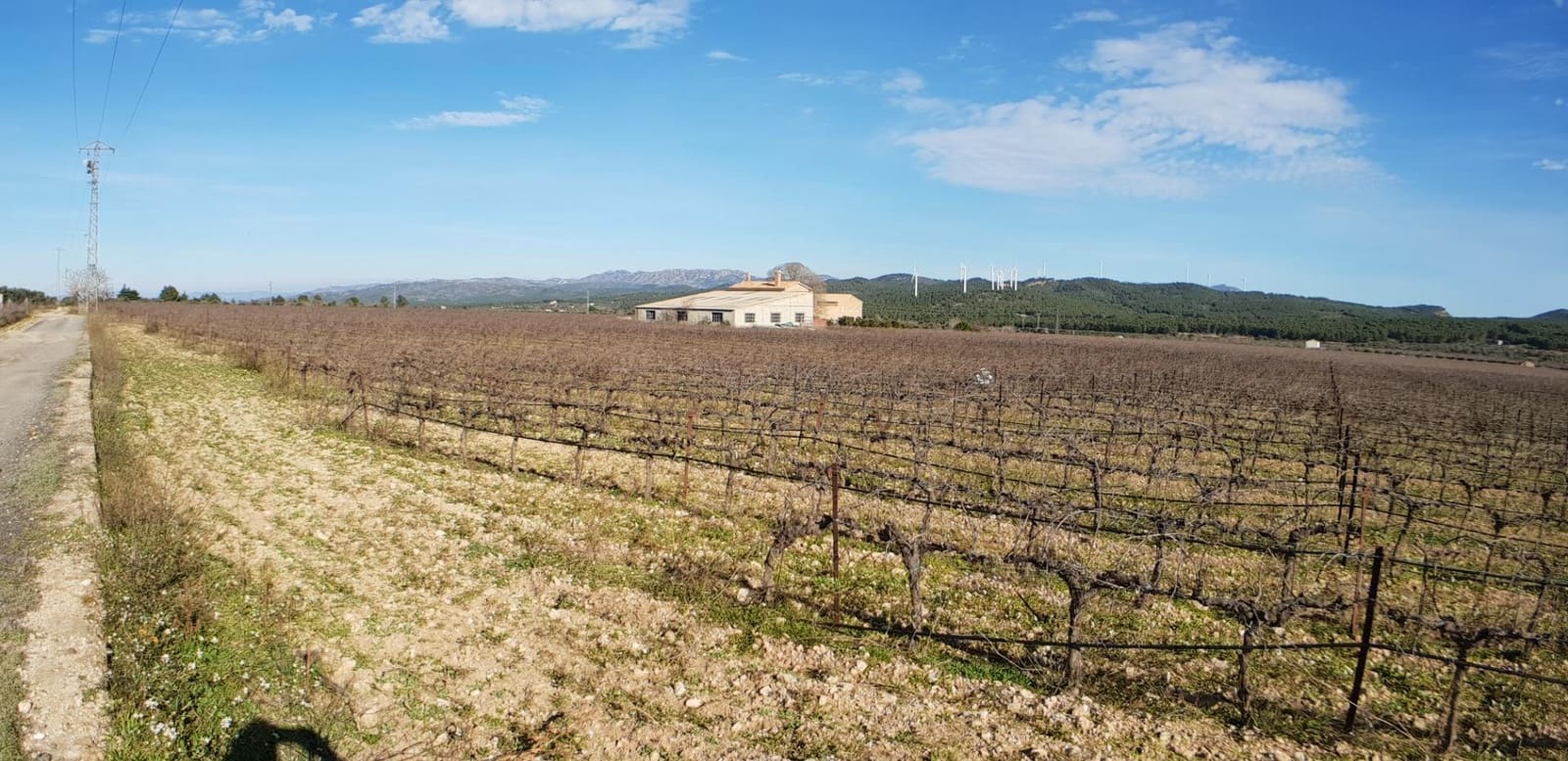 10 soveværelse Finca/Landehus til salg i El Perello - € 1.800.000 (Ref: 7995647)