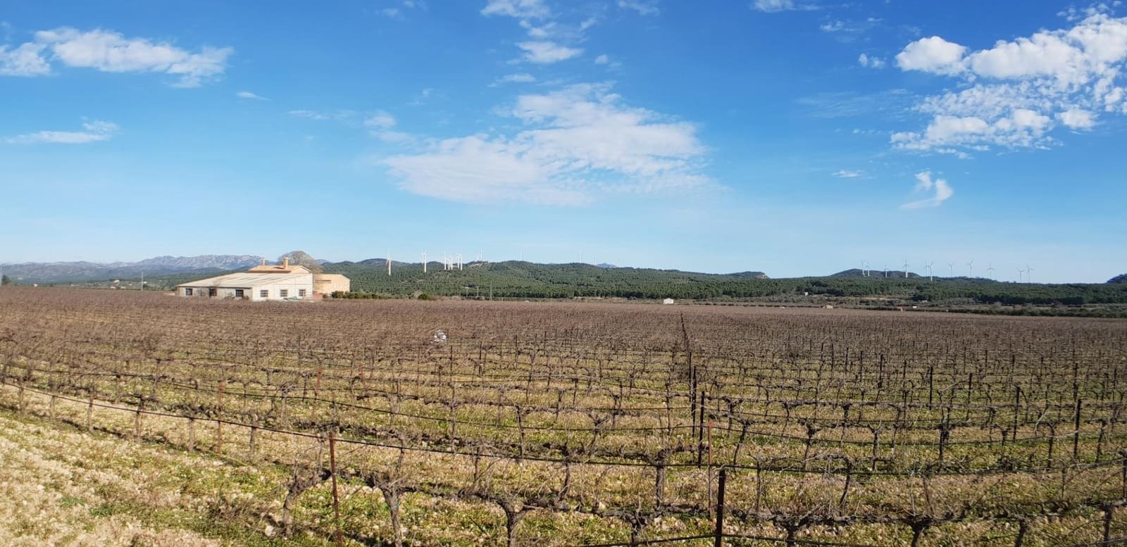 10 soveværelse Finca/Landehus til salg i El Perello - € 1.800.000 (Ref: 7995647)