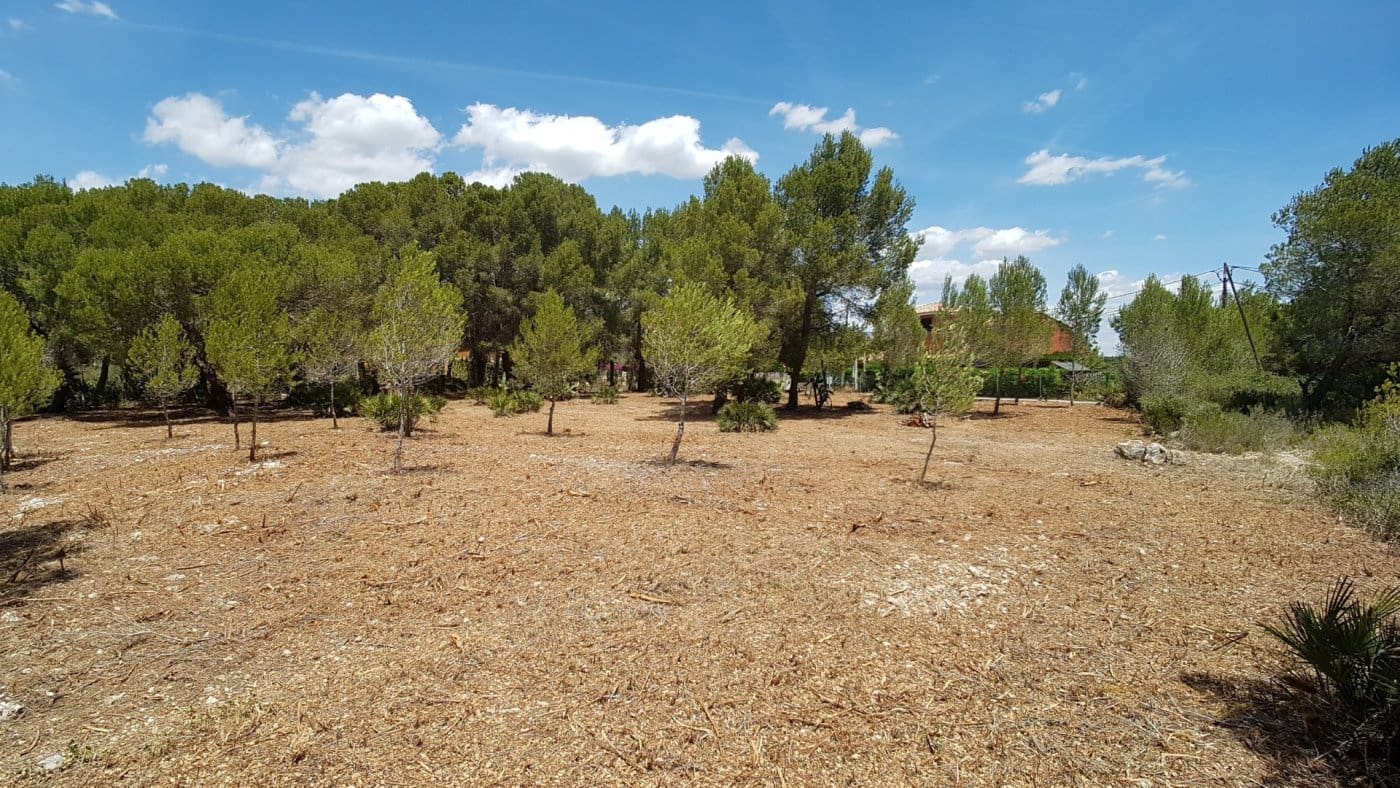 Byggegrund til salg i Sant Jordi d'Alfama - € 650.000 (Ref: 8274641)