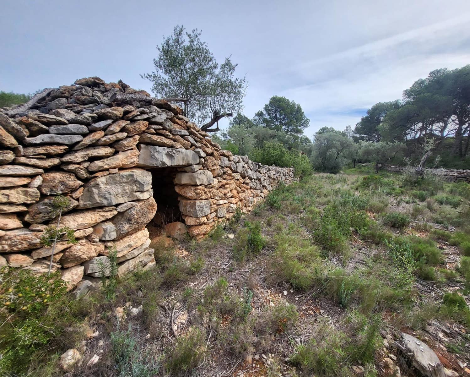 2 soverom Finca/Herregård til salgs i El Perello - € 140 000 (Ref: 8409871)