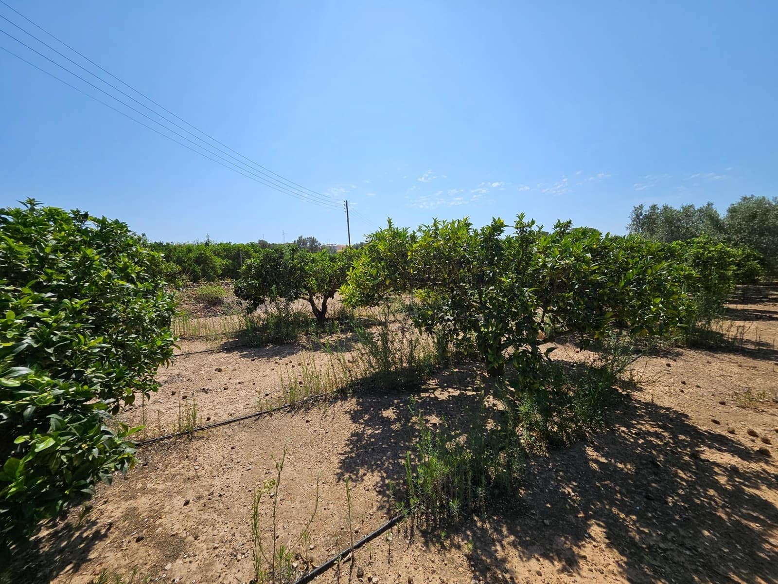 6 camera da letto Finca/Casa di Campagna in vendita in Camp-redo - 249.000 € (Rif: 8473977)