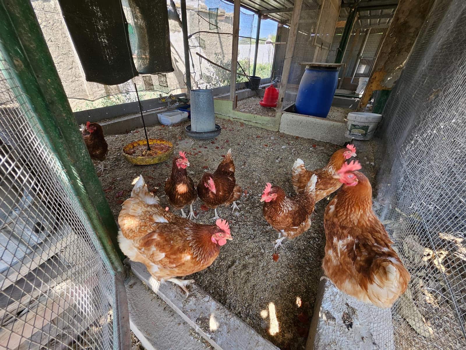 6 camera da letto Finca/Casa di Campagna in vendita in Camp-redo - 249.000 € (Rif: 8473977)