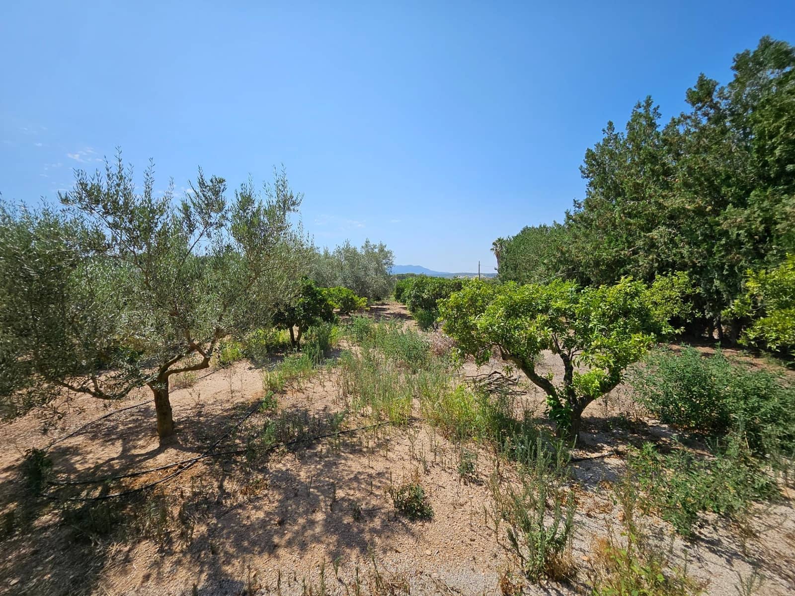 6 camera da letto Finca/Casa di Campagna in vendita in Camp-redo - 249.000 € (Rif: 8473977)