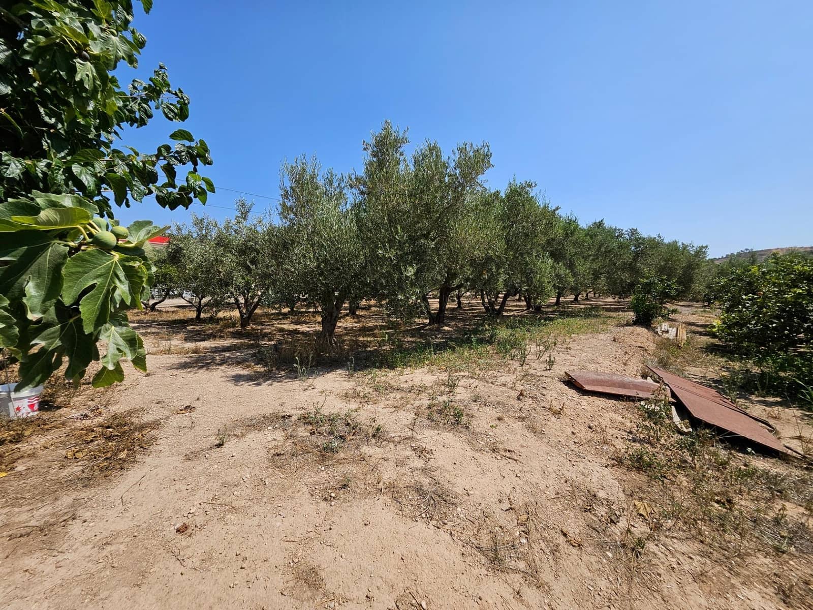 6 camera da letto Finca/Casa di Campagna in vendita in Camp-redo - 249.000 € (Rif: 8473977)