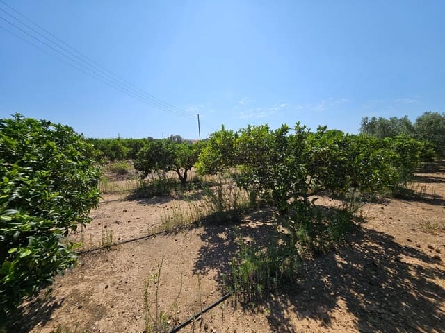 6 slaapkamer Finca/Landhuis te koop in Camp-redo, Tortosa - € 249.000 (Ref: 8473977)